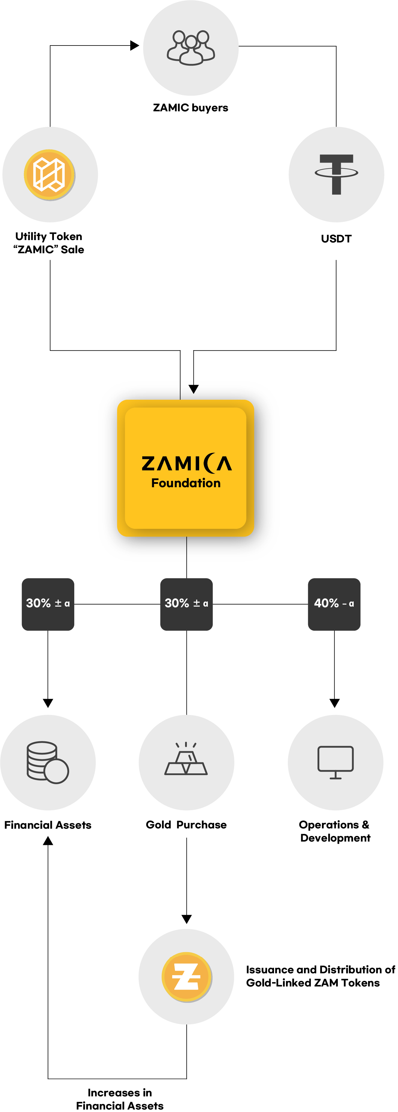 ZAMICA ecosystem flow